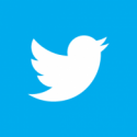 3twitter-bird-white-on-bluevector