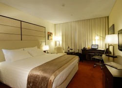 Hotel Crown Plaza Tretiakovskaya