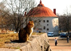 Vyborg