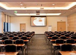 Hotel Crowne Plaza Airport San Pietroburgo