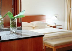 Hotel Ararat Park Yatt Mosca