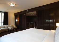 Hotel Sheraton Palace Mosca