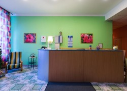Hotel Repin San Pietroburgo